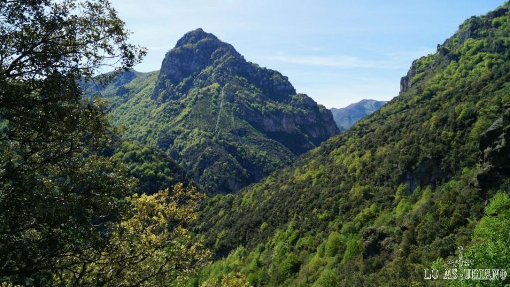 Polémica medioambiental con motivo del rodaje de la película ‘Los Juegos del Hambre’ en Asturias
