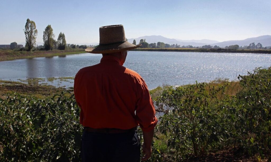 Sembrar en tiempos inciertos: el desafío y orgullo de ser agricultor en Chile hoy