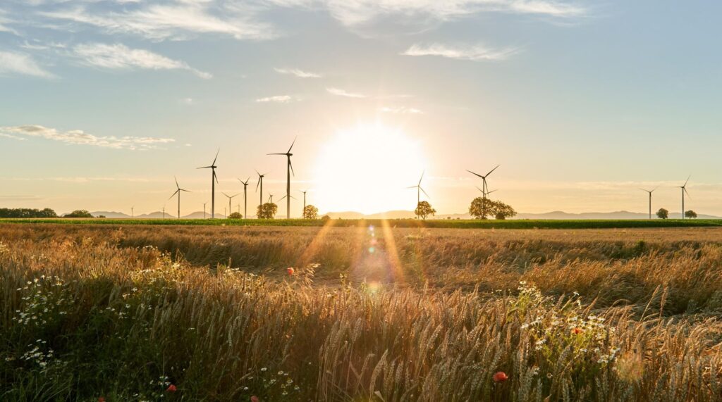 ALIENTE ‘crítico’ con el nuevo RDL anti apagón: hay que reconducir la transición energética