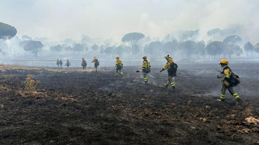 El incendio forestal en ‘San Bartolomé de Pinares’ remite, se mantienen los desalojos y sigue cortado trafico de tren entre Ávila y Madrid