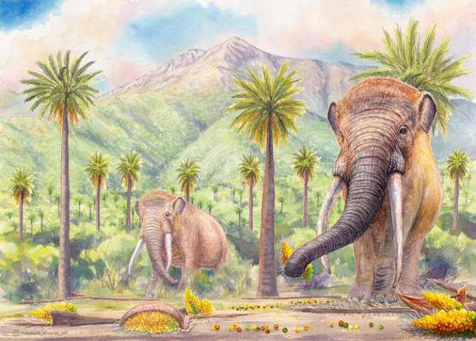La desaparición de los mastodontes aún pone en riesgo la flora nativa de América del Sur