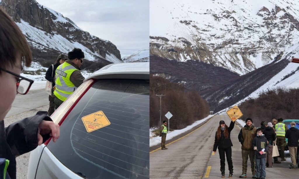 Lanzan campaña "Quien se apura en la Patagonia, mata la fauna”