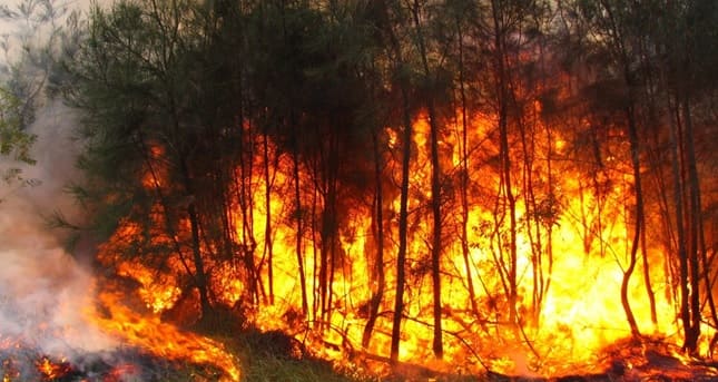 Las 7 ‘claves’ para que un Pacto de Estado sea la solución a los ‘megaincendios’, que son la respuesta de los ecosistemas al ‘cambio climático’