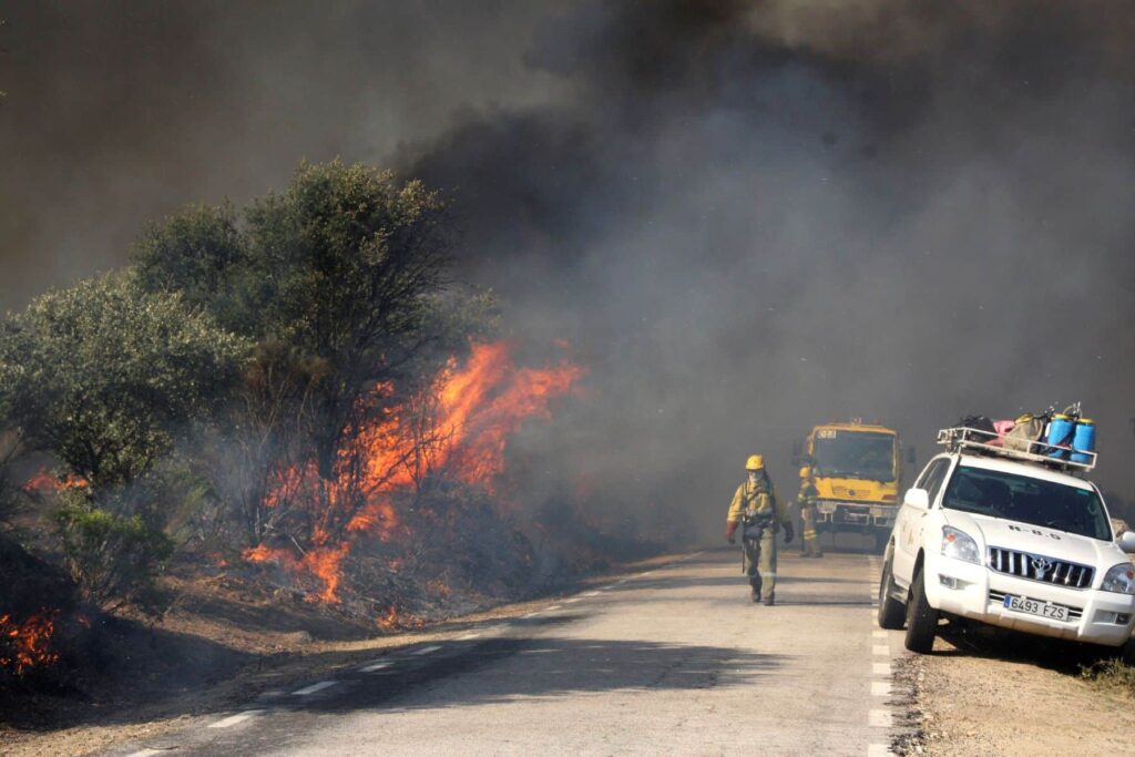Los incendios forestales en la provincia de Ávila ‘levantan ampollas’ y exigen cambios en la gestión de los bosques