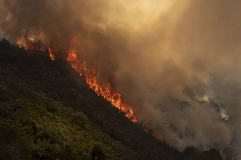 Ourense en ‘llamas’, mientras llega la calma a los incendios forestales de Ávila y Las Hurdes