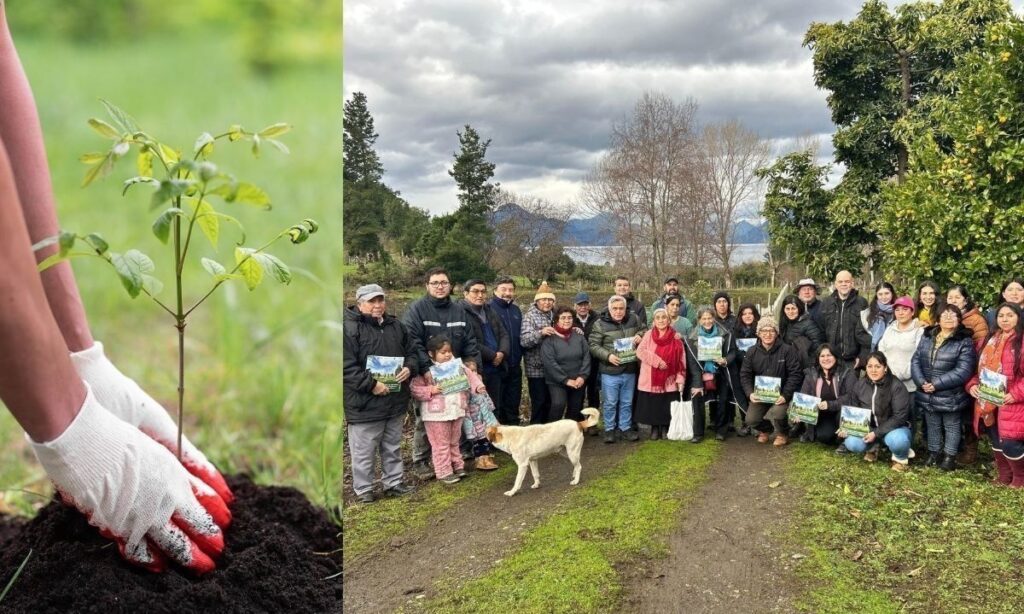 Proyecto de recuperación de bosques nativos en Isla Huapi finalizó con éxito