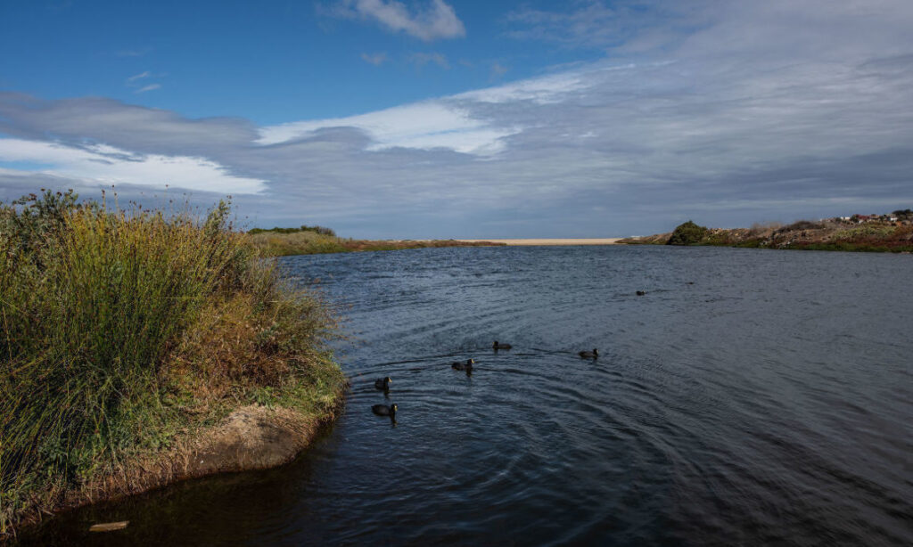 Seminario analizará los desafíos pendientes en la Ley de Humedales Urbanos
