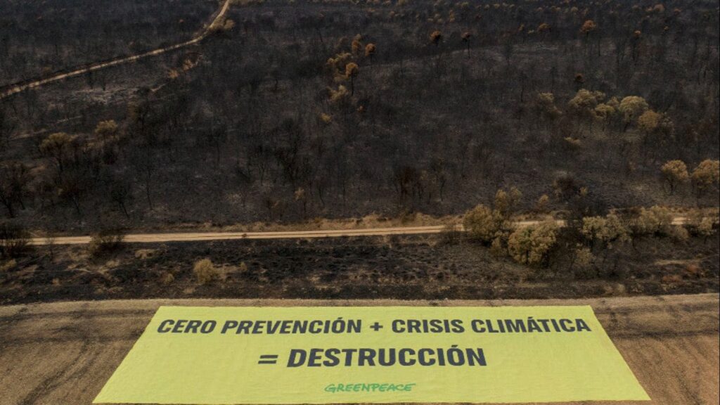 A partir de este 2025 hay que ‘repensar’ lo que hay que hacer para frenar los incendios forestales de sexta generación