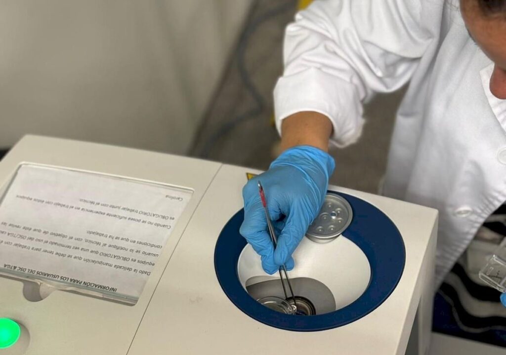 A partir de residuos de paja de arroz, uva y chufa crean envases alimentarios sostenibles