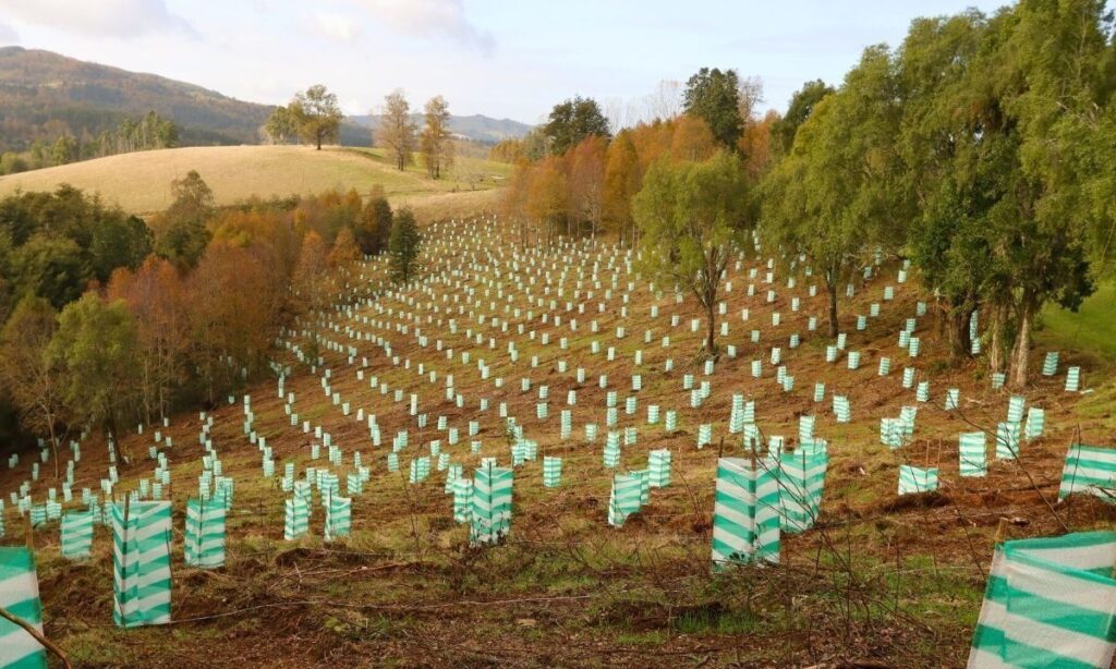 Amplían plazo de postulación a concurso público de cambio climático