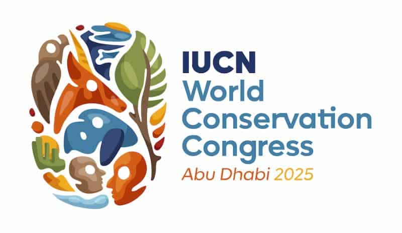 Congreso mundial de la naturaleza de la UICN 2025: SEO/BirdLife aportará seis mociones