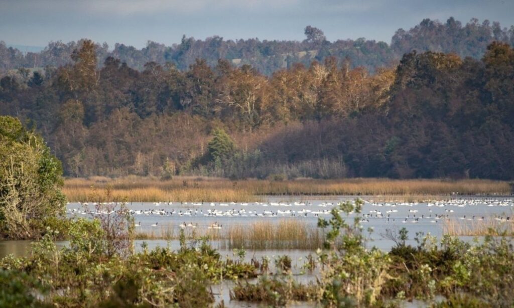 En Valdivia realizarán seminario sobre hábitat, territorio y sostenibilidad