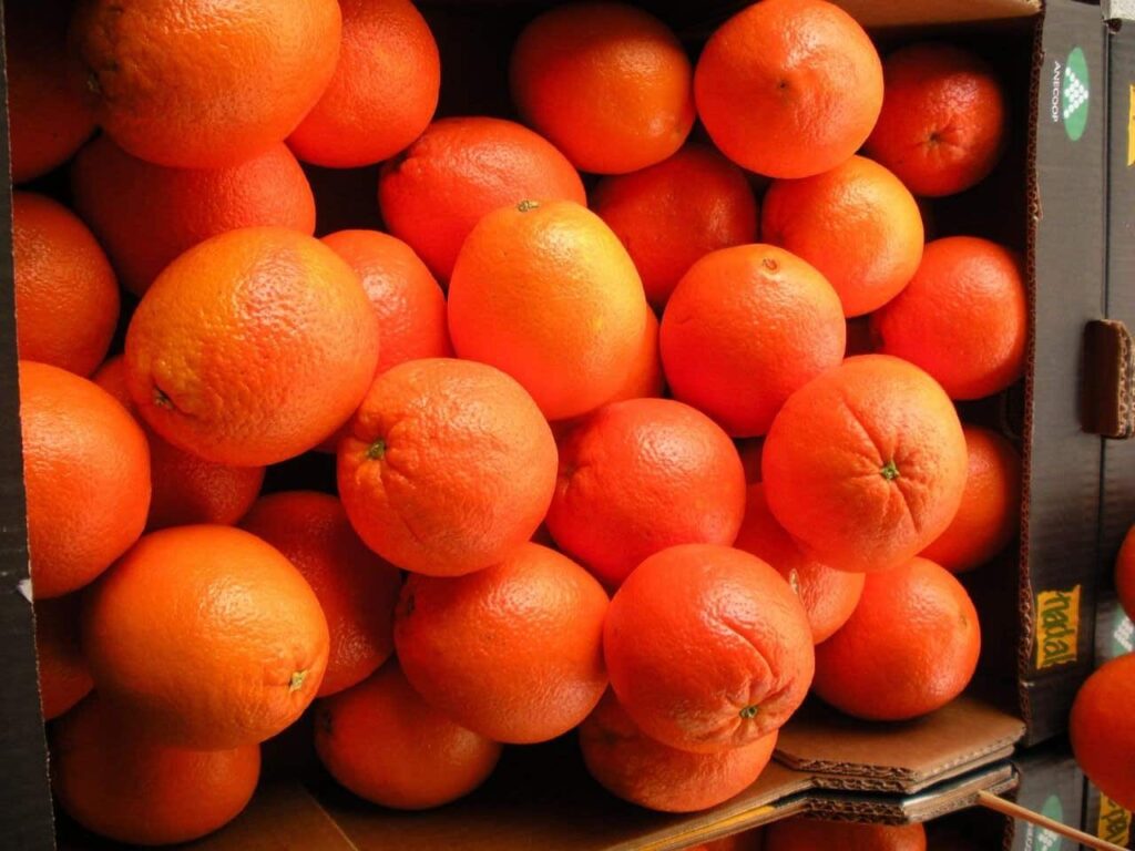 Informe ‘España, el frutero de Europa’: exportamos cada año miles de millones de litros de agua en forma de frutas y verduras