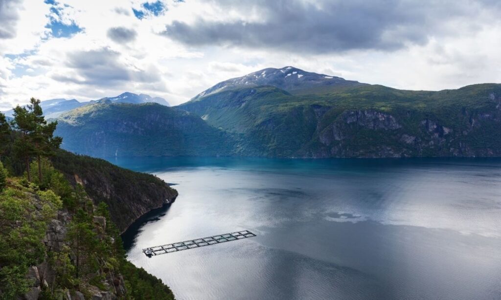 Nuevo capítulo del podcast Paraíso Enjaulado analiza realidad de las áreas protegidas