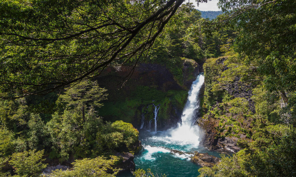 Reserva Huilo Huilo gana el “Oscar” al Mejor turismo responsable de Sudamérica
