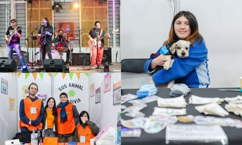 Animal Fest Valdivia regresa con tres días de música y solidaridad