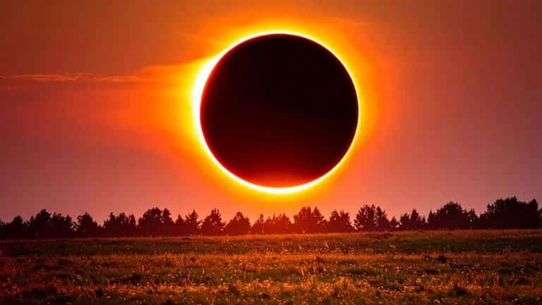Ante un eclipse solar donde el día se transforma en una noche casi total muchos ‘pájaros’ se comportan como si amaneciera