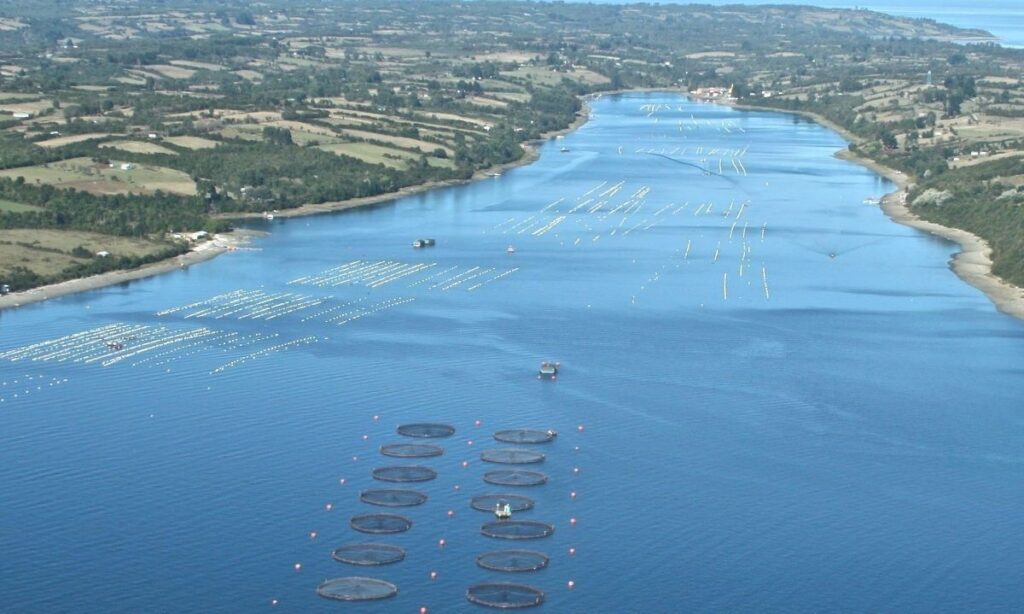 Ayseninos relegan a la industria salmonera a un séptimo lugar al pensar en el futuro de la región