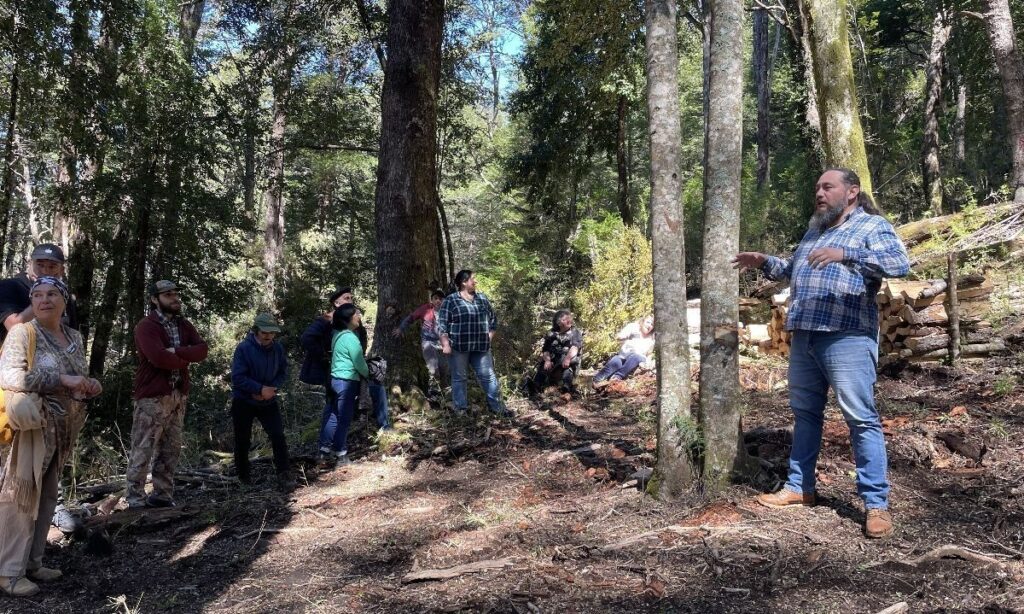 Fortalecen manejo sostenible del ecosistema forestal con Día del Bosque en Mañihuales