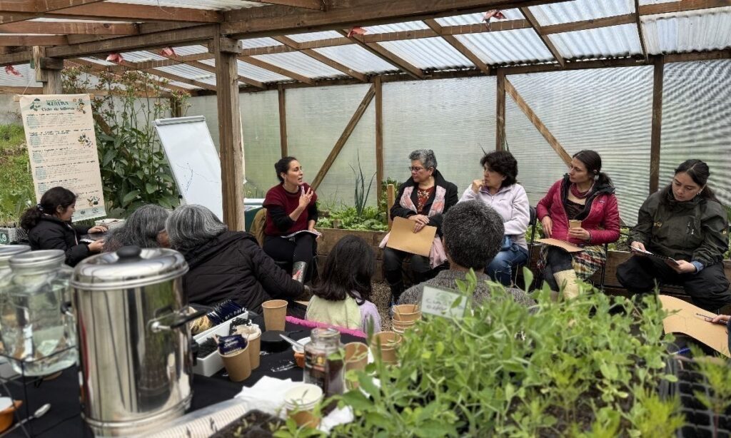 Huerta Agroecológica de Collico inaugura Escuela Agua Viva con módulo sobre baño seco