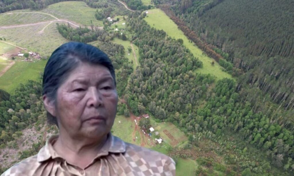 Julia Chuñil, defensora ambiental mapuche desaparecida en Máfil: ¿Qué estaba protegiendo?