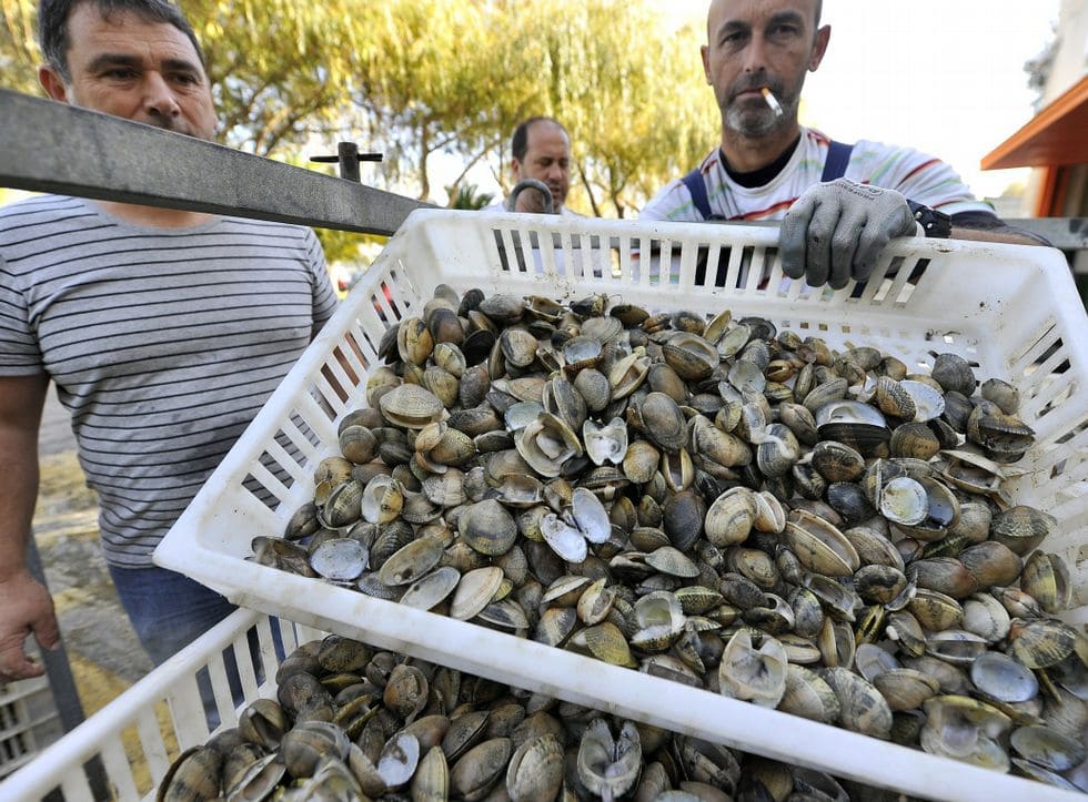 La contaminación en la ría de Ferrol es ‘insostenible’, ‘mariscadores’ iniciaran acciones legales contra el Ayuntamiento de Neda (A Coruña)