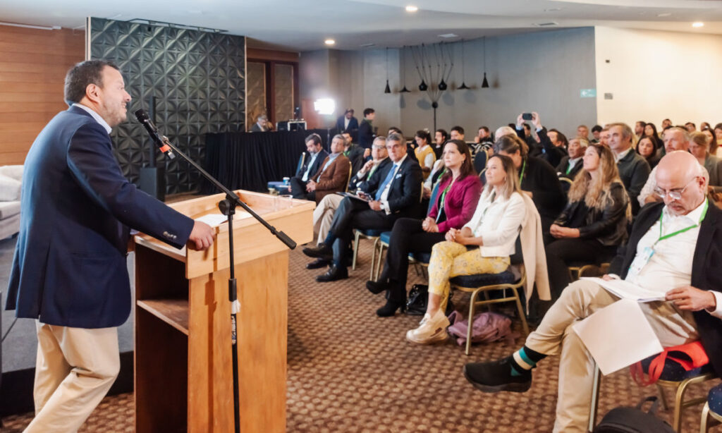 Puerto Varas será sede de la primera cumbre nacional sobre relaciones comunitarias