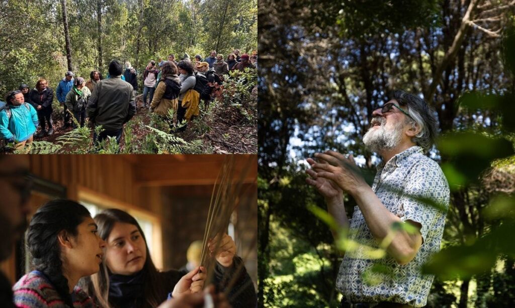Red Bosquentrama sigue creciendo desde los territorios por los bosques