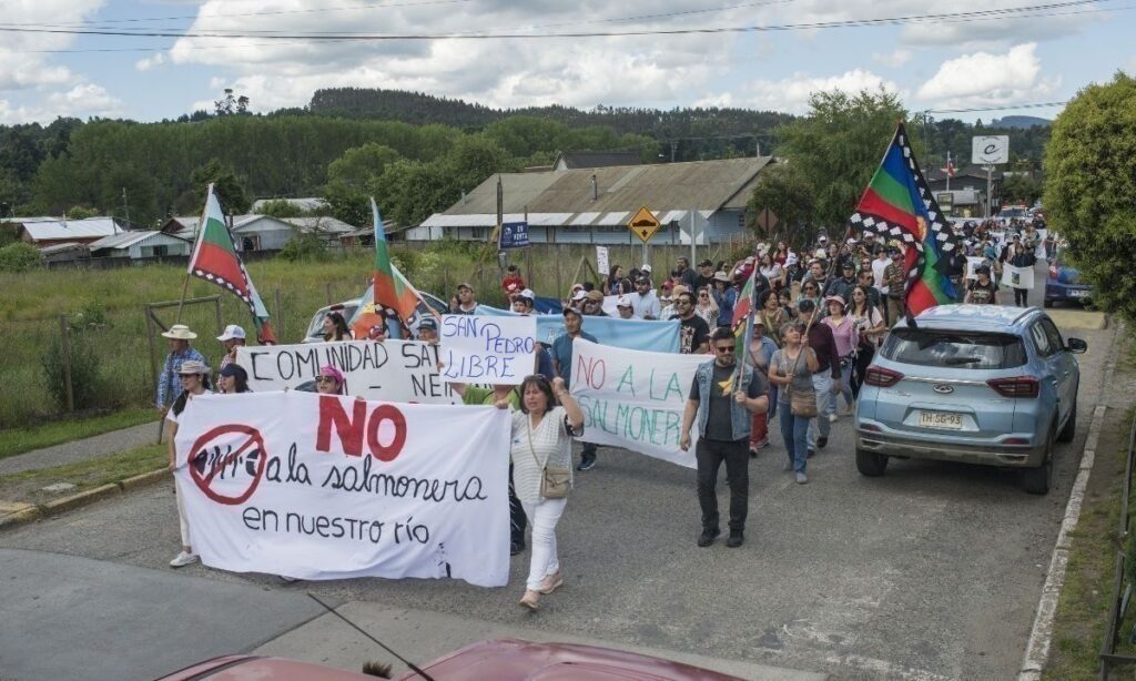 Solicitan paralización total e inmediata de obras de proyecto salmonero en río San Pedro