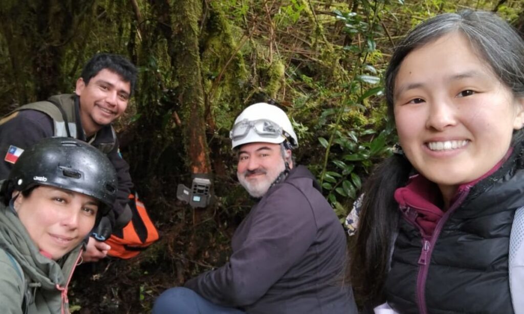 Vecinos participan en primer monitoreo comunitario de fauna silvestre en Parque Alerce Andino