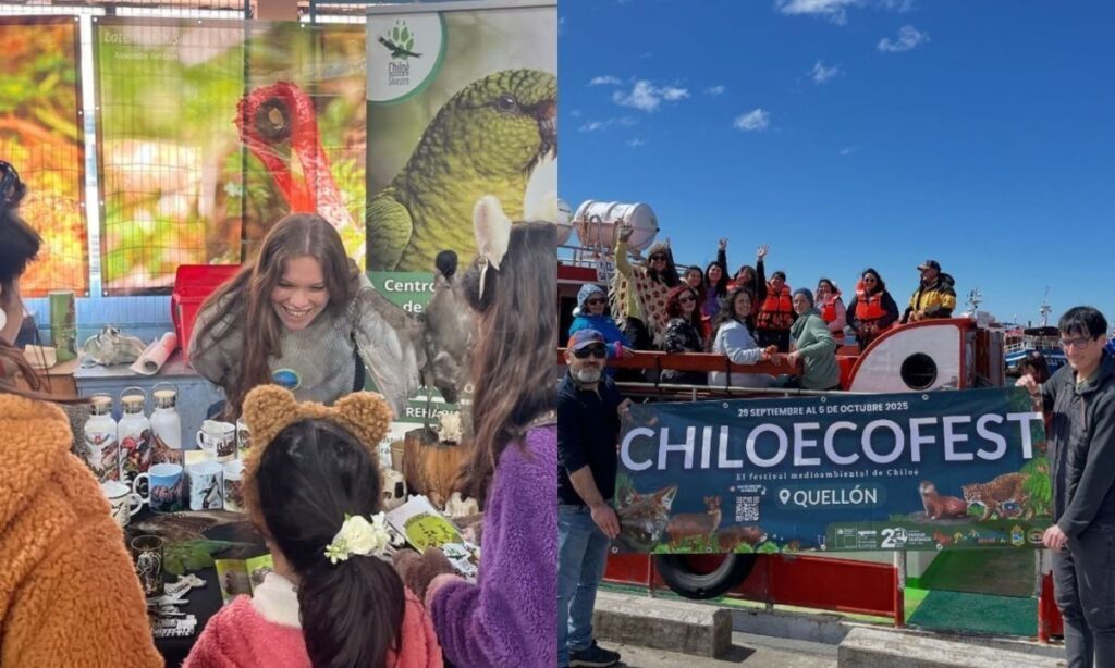 Ya comenzó la segunda versión del festival Chiloecofest