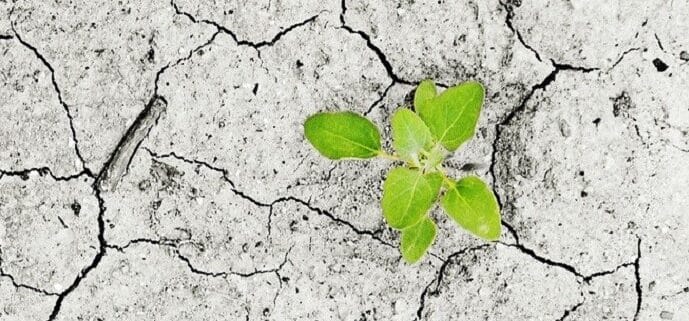 Financiación para medidas de adaptación en la COP30: el gran bloqueo climático que amenaza los acuerdos globales