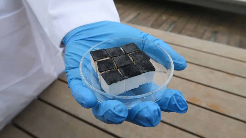 Las esponjas de la vida: Extraen del aire el recurso más escaso y valioso del planeta