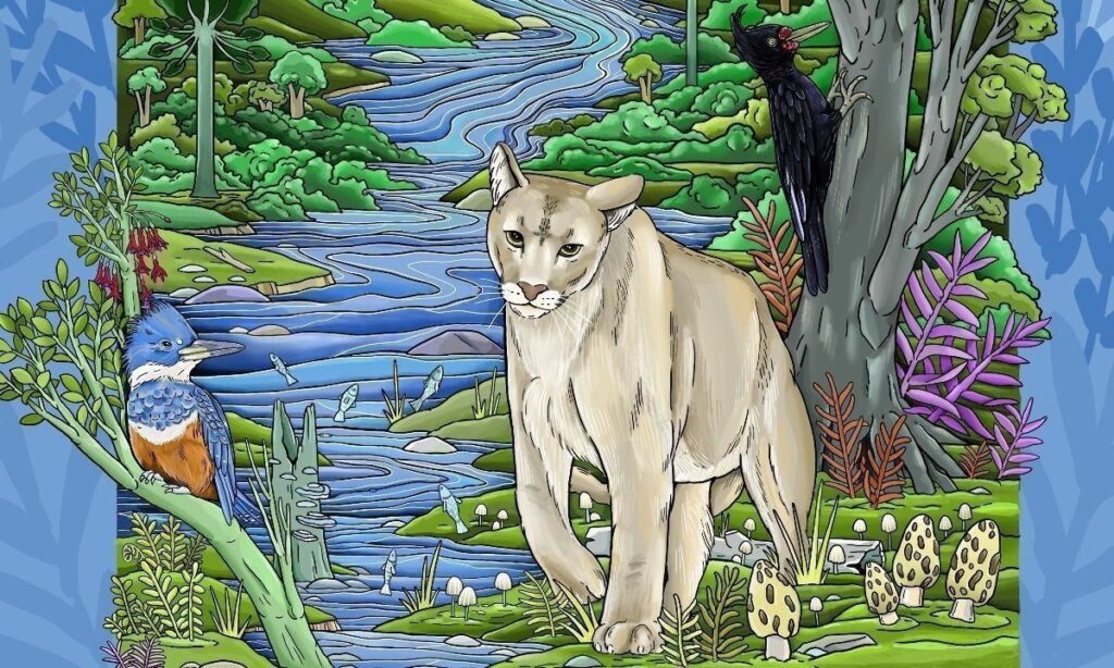 Nueva edición de PuescoFest Ríos Libres y Salvajes confirma fechas