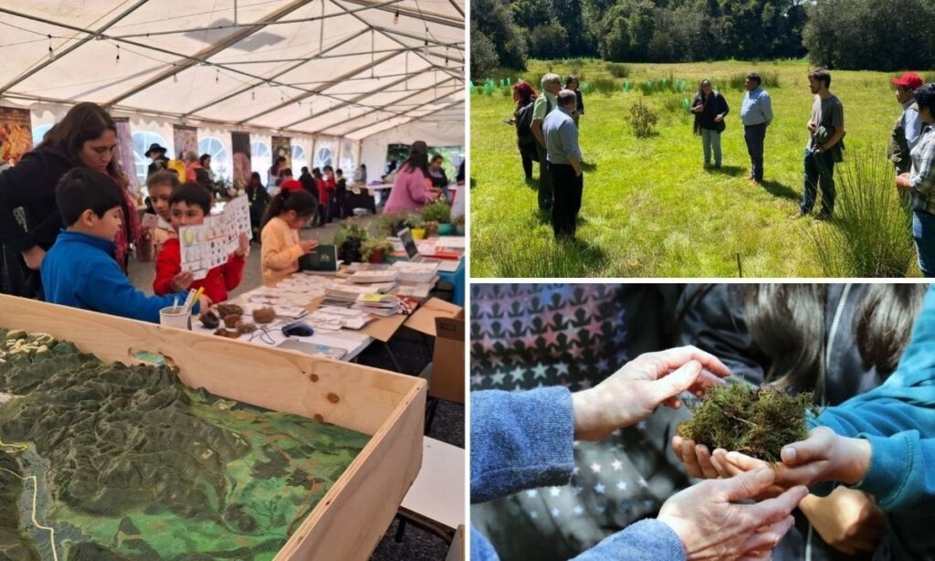 Panguipulli reúne a 14 delegaciones de la Red Latinoamericana de Bosques