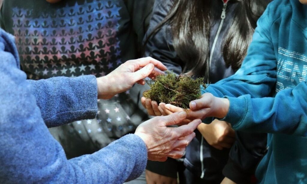 Panguipulli reunirá a delegaciones de 14 países de la Red Latinoamericana de Bosques Modelo