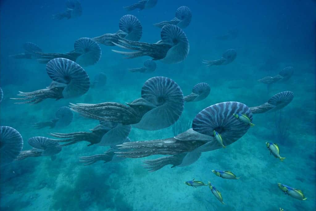 Cómo la extinción masiva y sus efectos en los océanos transformaron la vida marina tras la mayor crisis de la Tierra