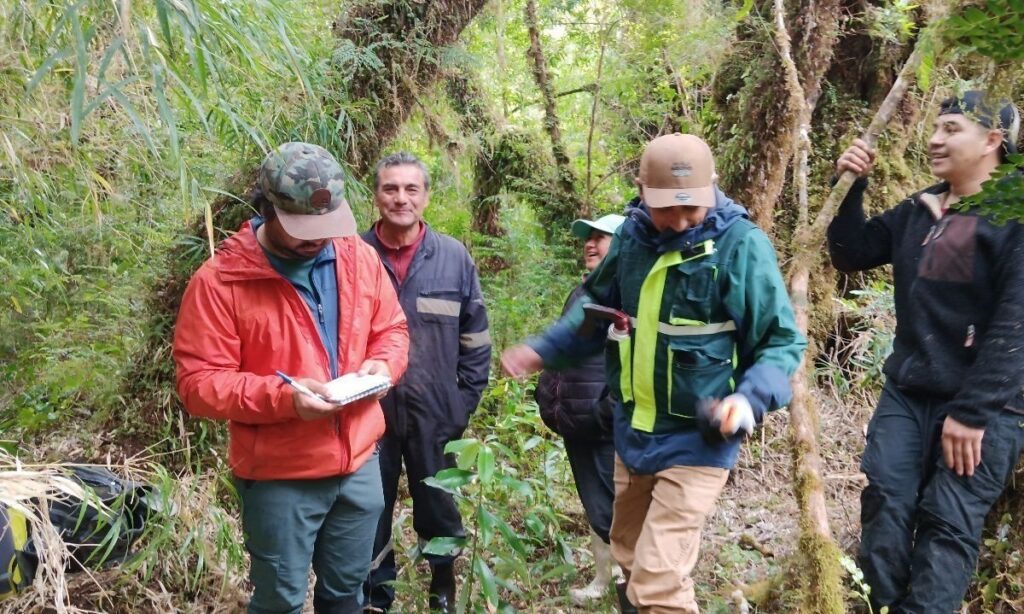 Conaf y madereros de Guaitecas avanzan en manejo forestal sustentable