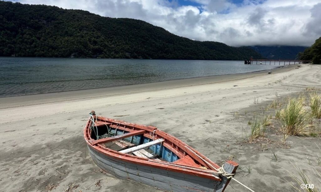 Documental italiano destaca pesca sostenible del puye en la Región de Aysén