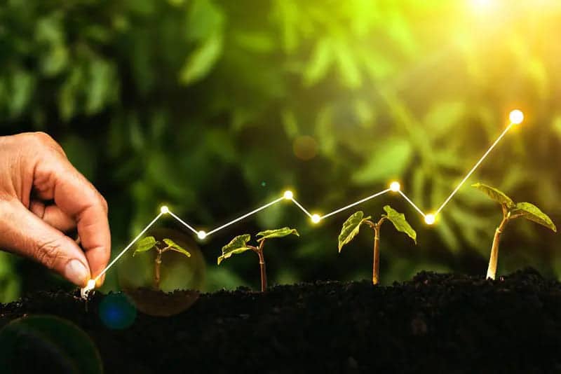 España frena su economía ambiental mientras el empleo verde se dispara