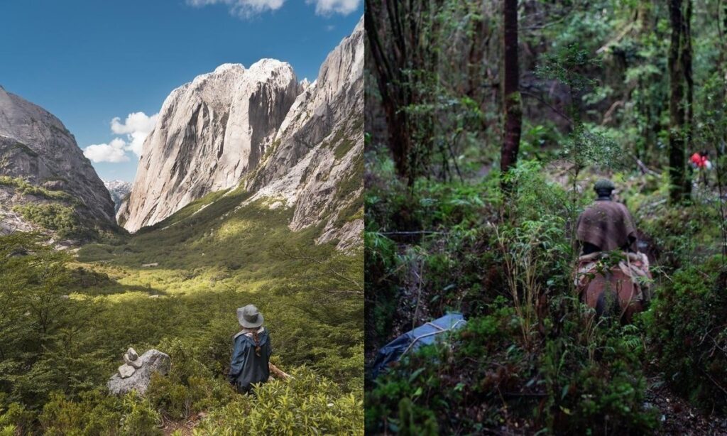 Histórica recaudación permite la compra de 130 mil hectáreas para conservación ecológica en Cochamó