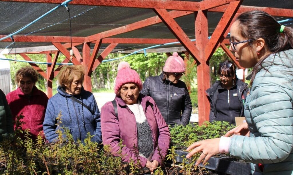 Impulsan arborización comunitaria en sector Cochrane Norte