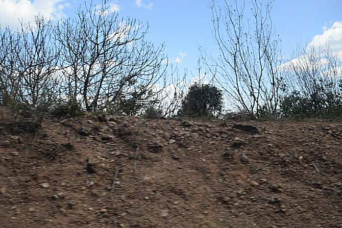 La intensificación de las sequías amenaza la capacidad de pastizales y matorrales para almacenar carbono