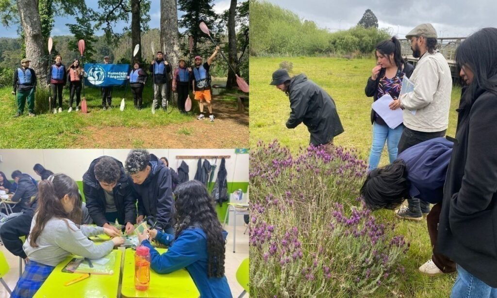 Santuario Angachilla fortalece su gestión con proyecto centrado en la comunidad y la conservación