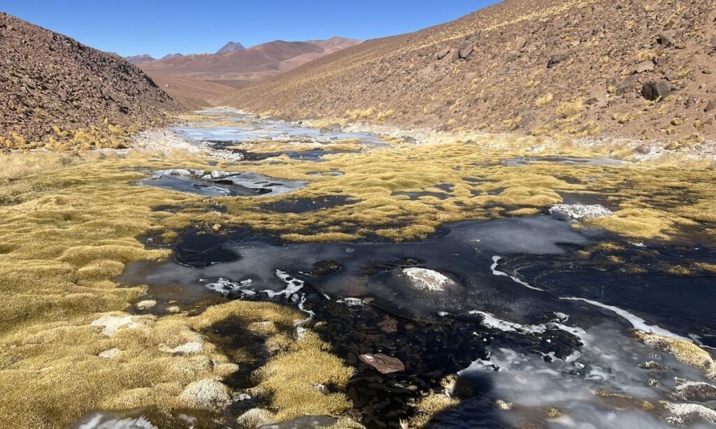 Arranca proceso participativo para definir indicadores de seguridad hídrica del país
