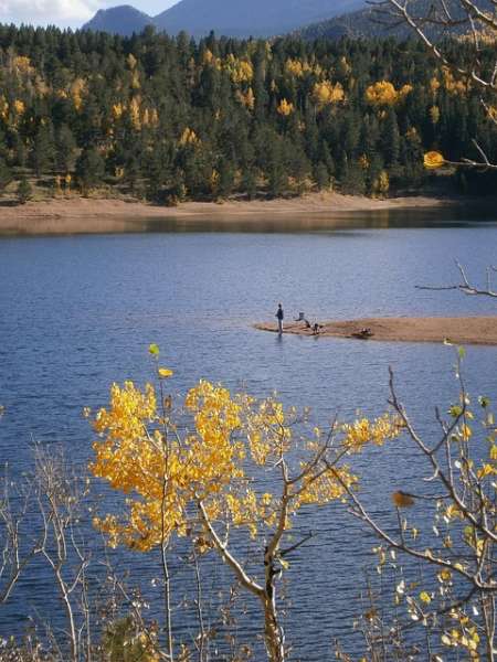 Bosques secundarios: el aliado invisible contra el cambio climático y la pérdida de biodiversidad
