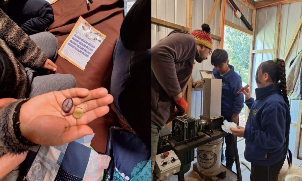 Centro regenerativo Rayen Pülli impulsa la educación ambiental en Isla Lemuy