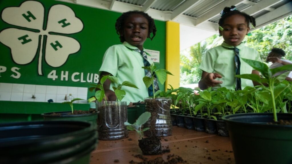 La educación impulsa la acción ambiental global ante la degradación del planeta