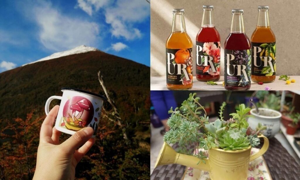 Remate solidario apoyará a bomberos y animales por incendios en Penco y Lirquén