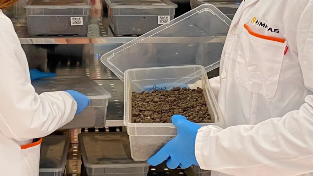 Etiquetas compostables en frutas y verduras centran seminario internacional de AIMPLAS